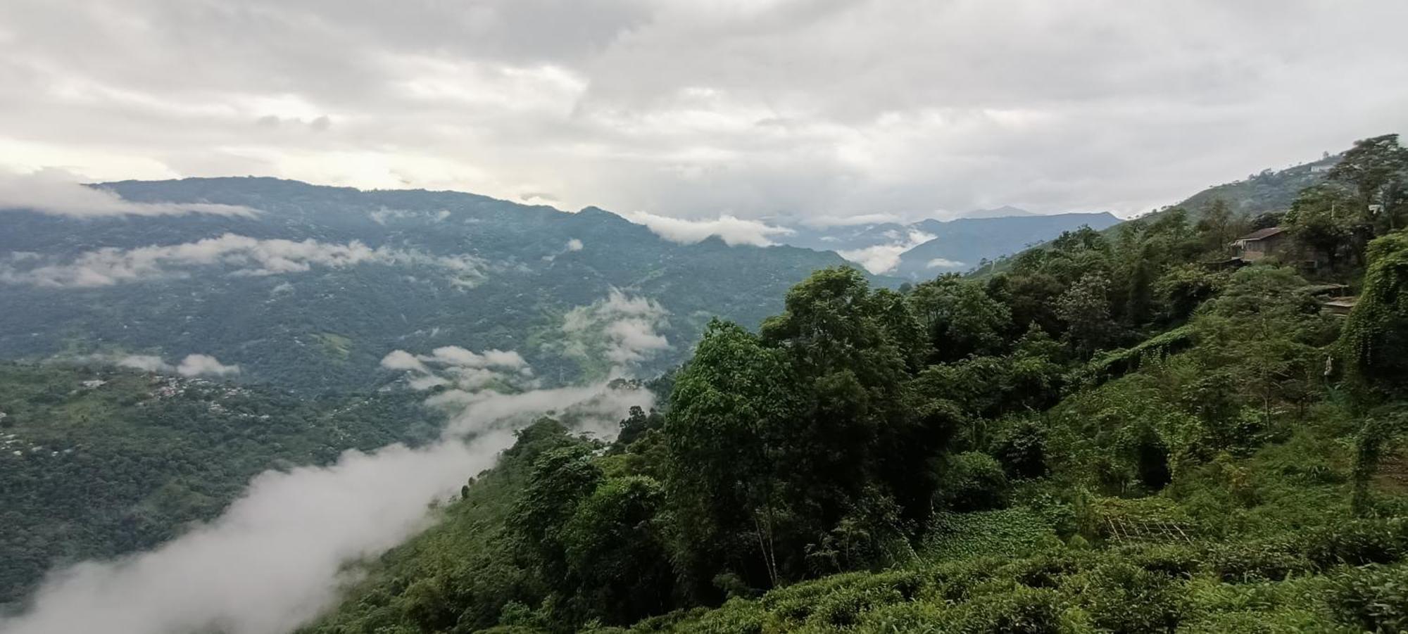 Tharbaling Homestay Darjeeling  Extérieur photo